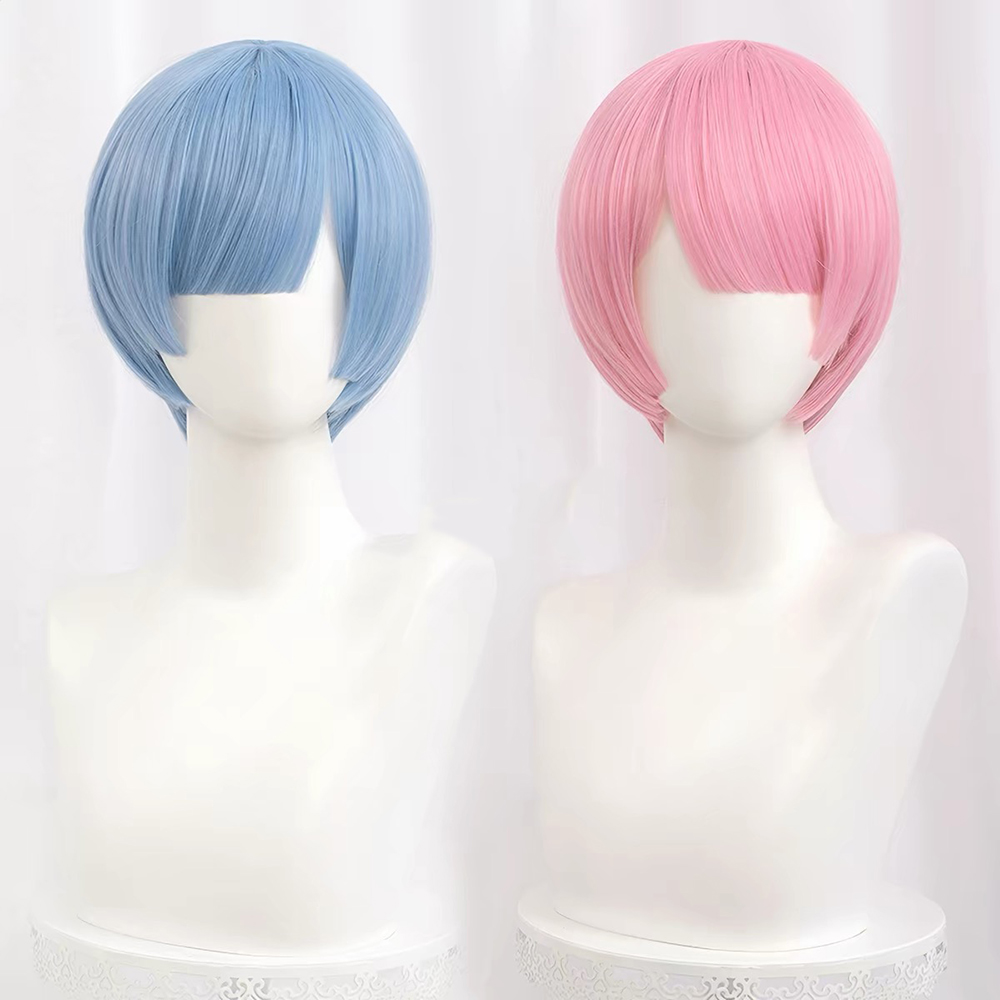 HAIRJOY Synthetic Hair Wig Re: - Re Zero Rem Wig review and price