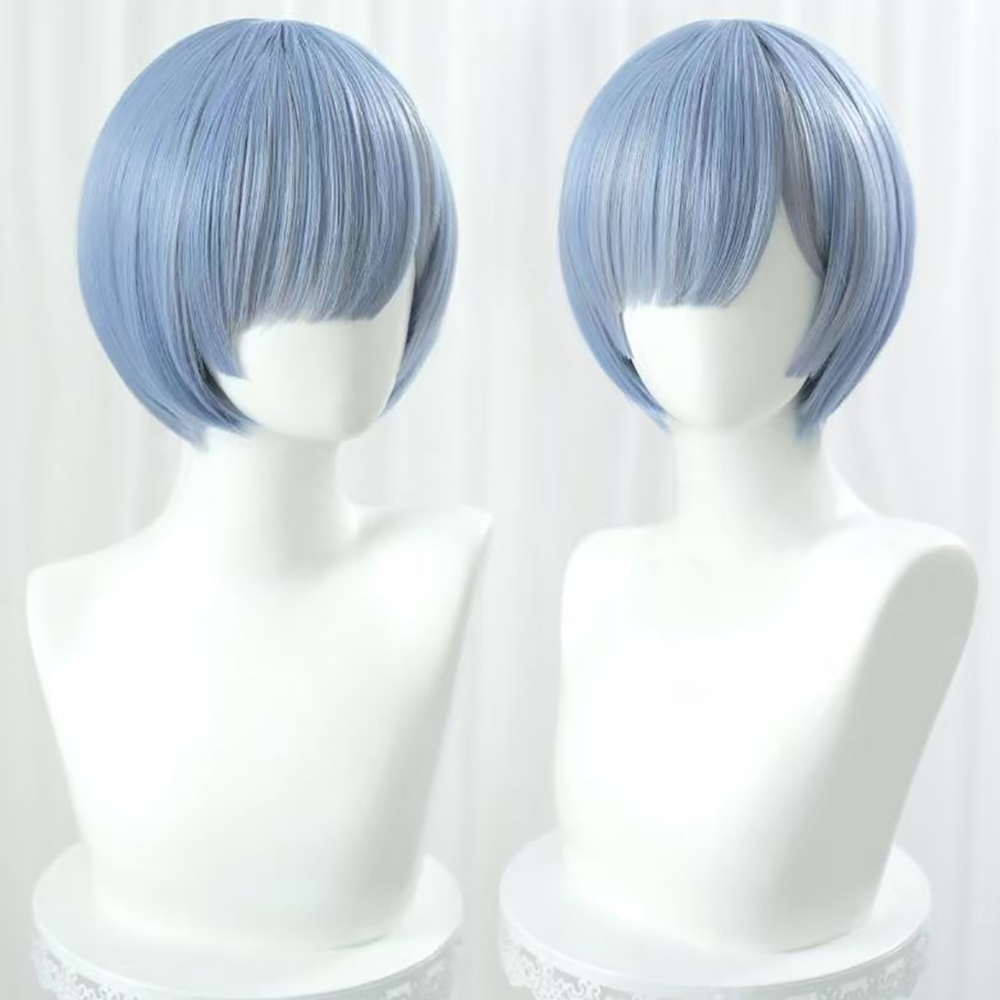 HAIRJOY Synthetic Hair Wig Re: - Re Zero Rem Wig review and price