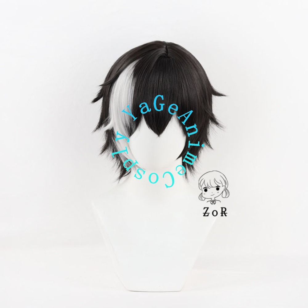 Guilongchao Zhu Cosplay Wig Bl - Anime Cosplay Realistic review and price